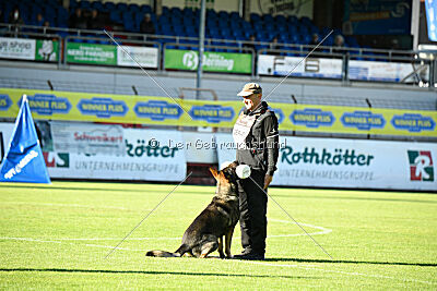 Peersy von der Lobdeburg