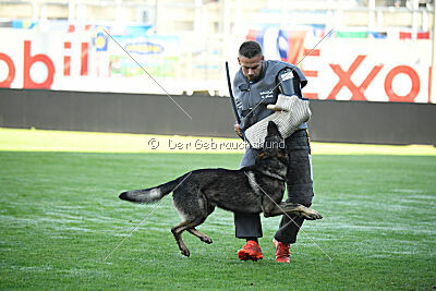 Peersy von der Lobdeburg