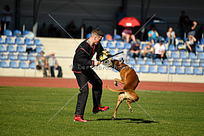 Percy von Fanatic