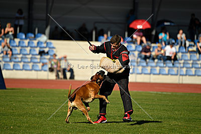 Percy von Fanatic