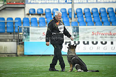 Perle van den Balkendreef