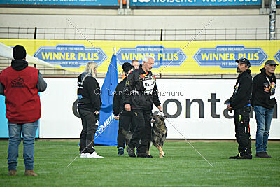 Perle van den Balkendreef