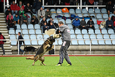 Perro von der schwarzen Natter