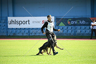 Phil vom Kämpferherz