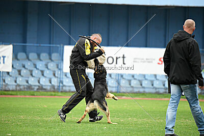 Phil vom Kämpferherz