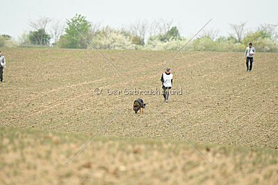 Pirate Du Domaine Jeff