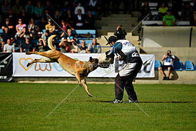 Plus van het Dreiland