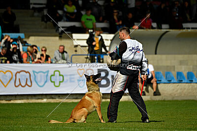 Plus van het Dreiland