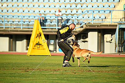 Plus van het Dreiland