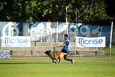 Plus van het Dreiland