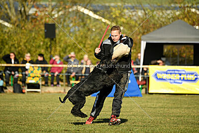 Pontifex Maximus von Blackmoore