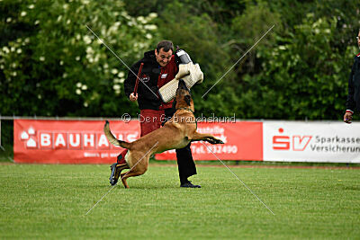 Primus vom Drachenherz