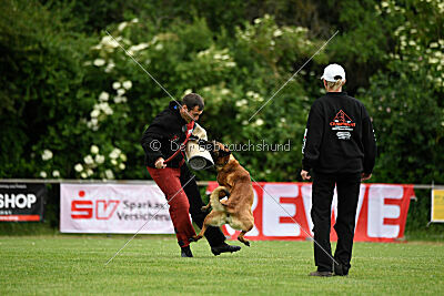 Primus vom Drachenherz