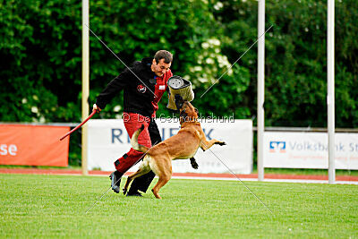 Primus vom Drachenherz