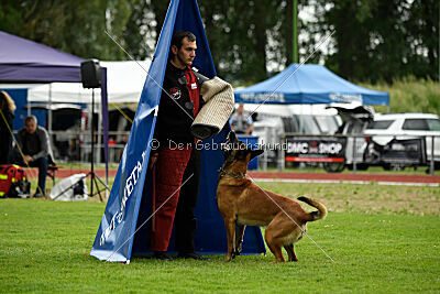 Primus vom Drachenherz