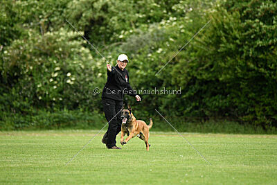 Primus vom Drachenherz