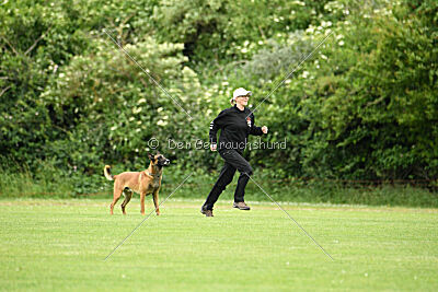 Primus vom Drachenherz