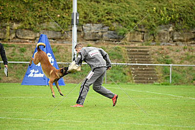 Primus vom Drachenherz