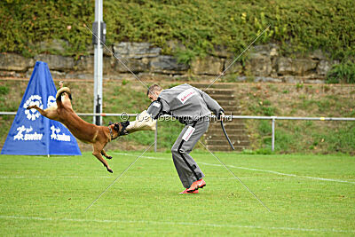 Primus vom Drachenherz