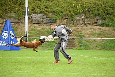 Primus vom Drachenherz