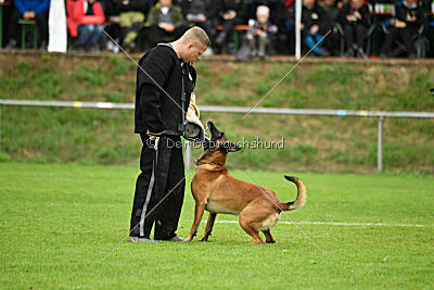 Primus vom Drachenherz