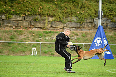 Primus vom Drachenherz