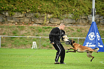 Primus vom Drachenherz