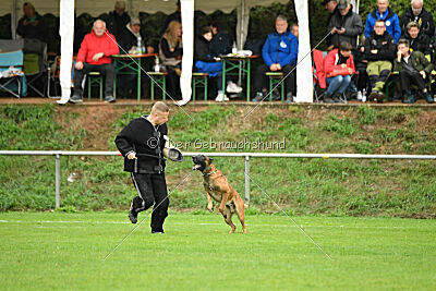 Primus vom Drachenherz