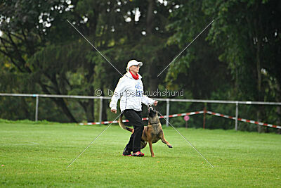 Primus vom Drachenherz