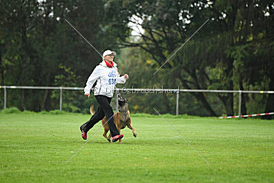 Primus vom Drachenherz