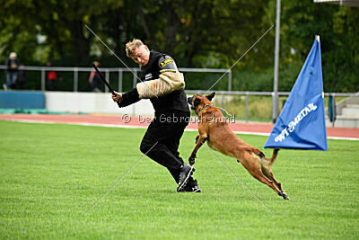 Primus vom Drachenherz