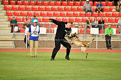 Primus vom Drachenherz