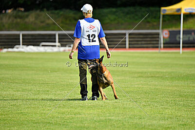 Primus vom Drachenherz