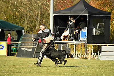 Prinz vom kleinen Büffel