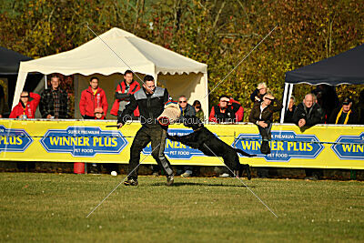 Prinz vom kleinen Büffel