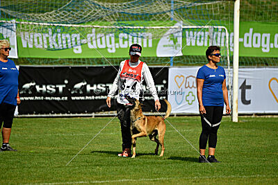 Python la Maschera di Ferro