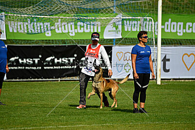 Python la Maschera di Ferro