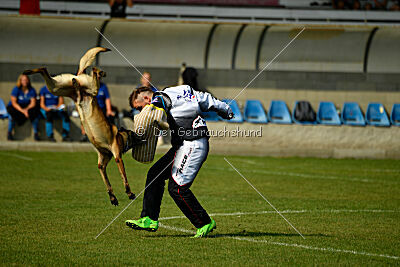 Python la Maschera di Ferro