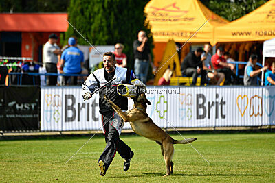 Python la Maschera di Ferro