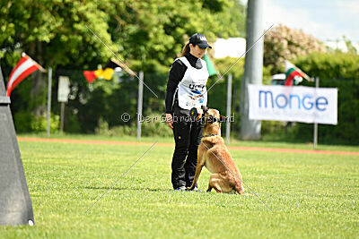 Python la Maschera di Ferro