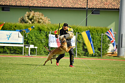 Python la Maschera di Ferro