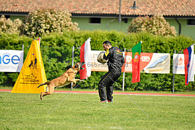 Python la Maschera di Ferro