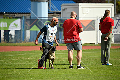 Q-Orky di Casa del Beato