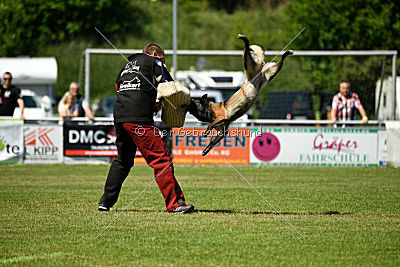 Q'Io de l'origine de faucon rouge