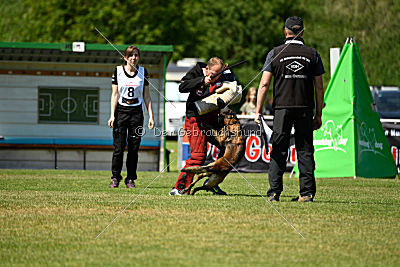 Q'Io de l'origine de faucon rouge