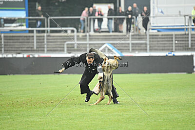 Qatar vom Alten Kanal