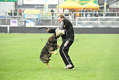Qatar vom Alten Kanal