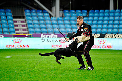 Qer z Lomeckého polesí