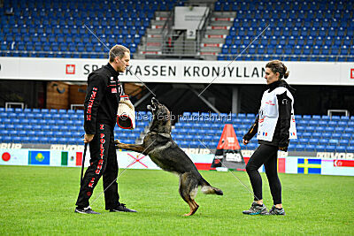 Qhaleesi vom Falkay's Hof