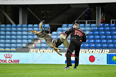 Qhaleesi vom Falkay's Hof